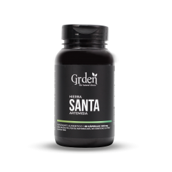GRDEN HIERBA SANTA ARTEMISA