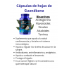 BIOXTRACTOS HOJAS DE GUANABANA 60 CAPS